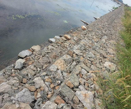 鍍高爾凡雷諾護(hù)墊